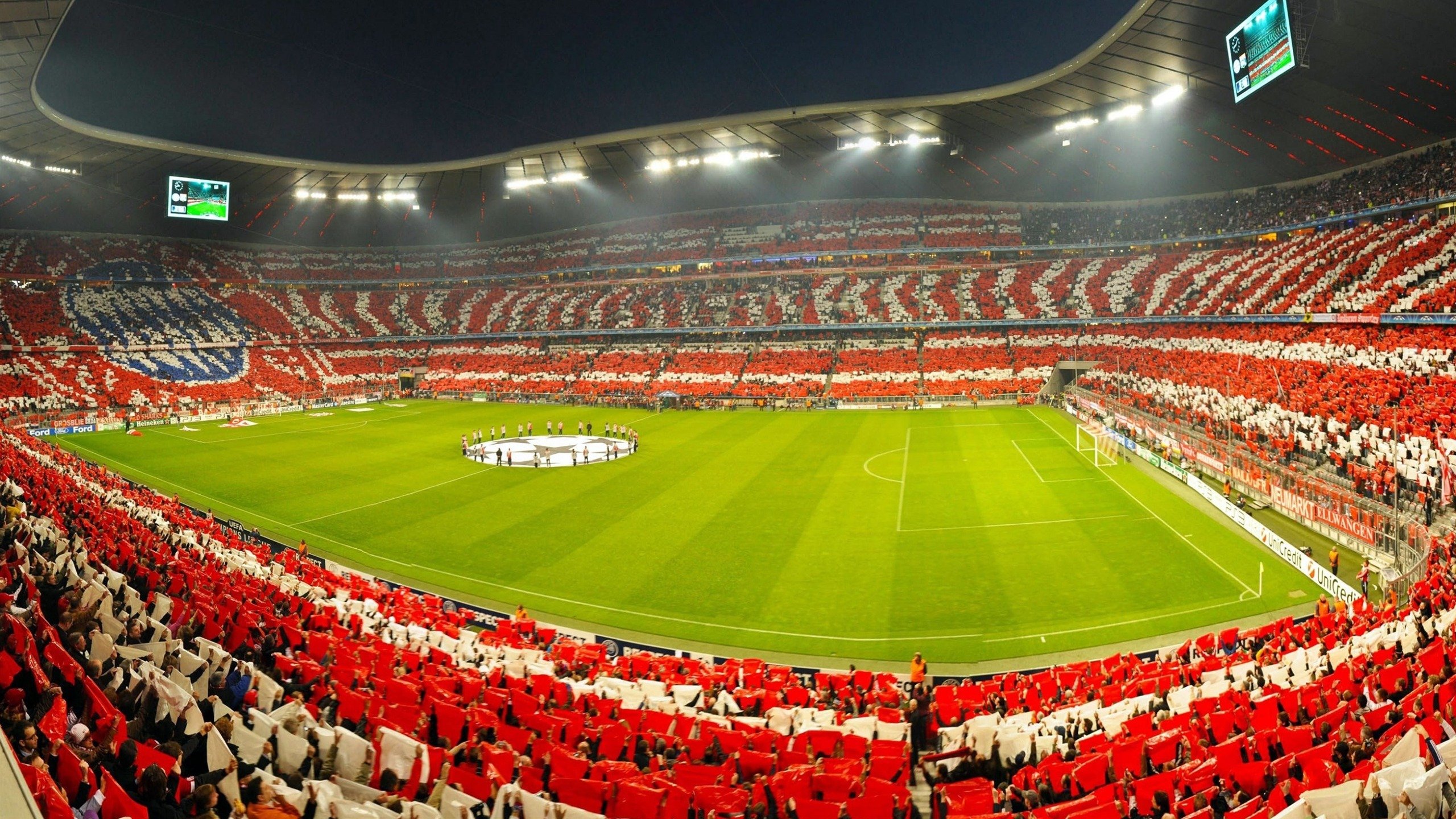 活力新锐：联盟中最具活力的年轻组合，全新活力